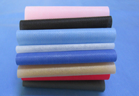 西沙涤纶（PET）无纺布是什么